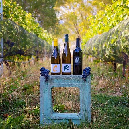 Keremeos Crowsnest Vineyards Guesthouse מראה חיצוני תמונה