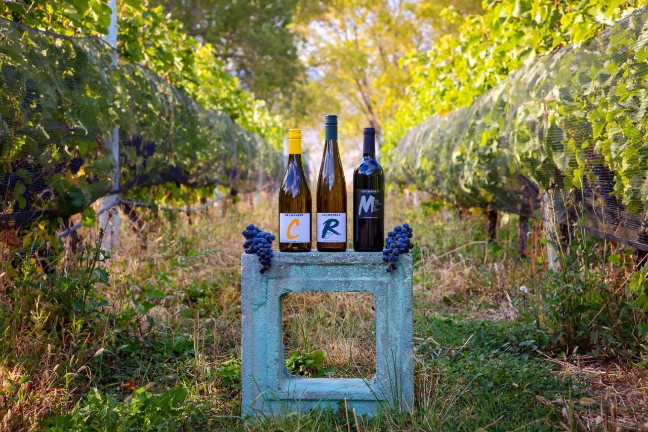 Keremeos Crowsnest Vineyards Guesthouse מראה חיצוני תמונה