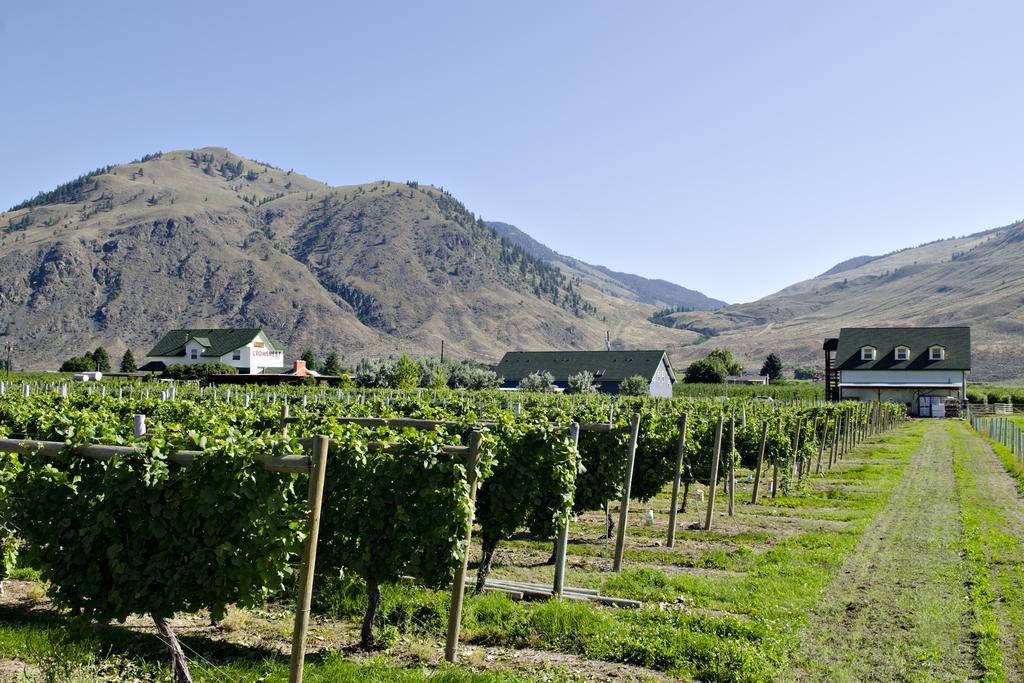 Keremeos Crowsnest Vineyards Guesthouse מראה חיצוני תמונה