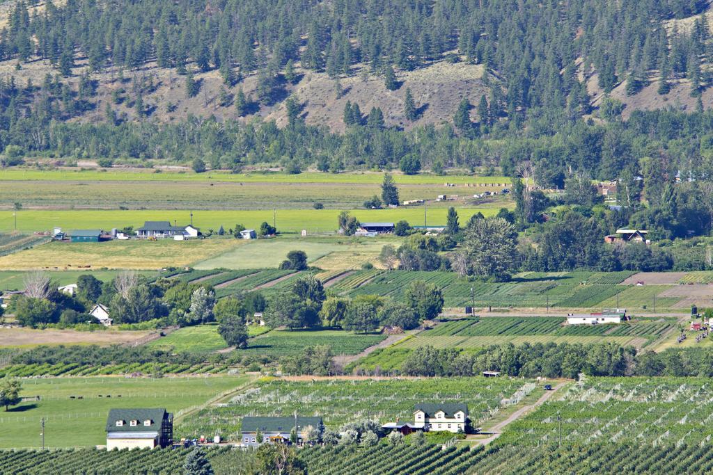 Keremeos Crowsnest Vineyards Guesthouse מראה חיצוני תמונה