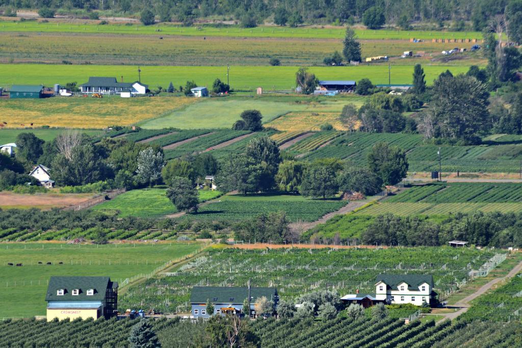 Keremeos Crowsnest Vineyards Guesthouse מראה חיצוני תמונה