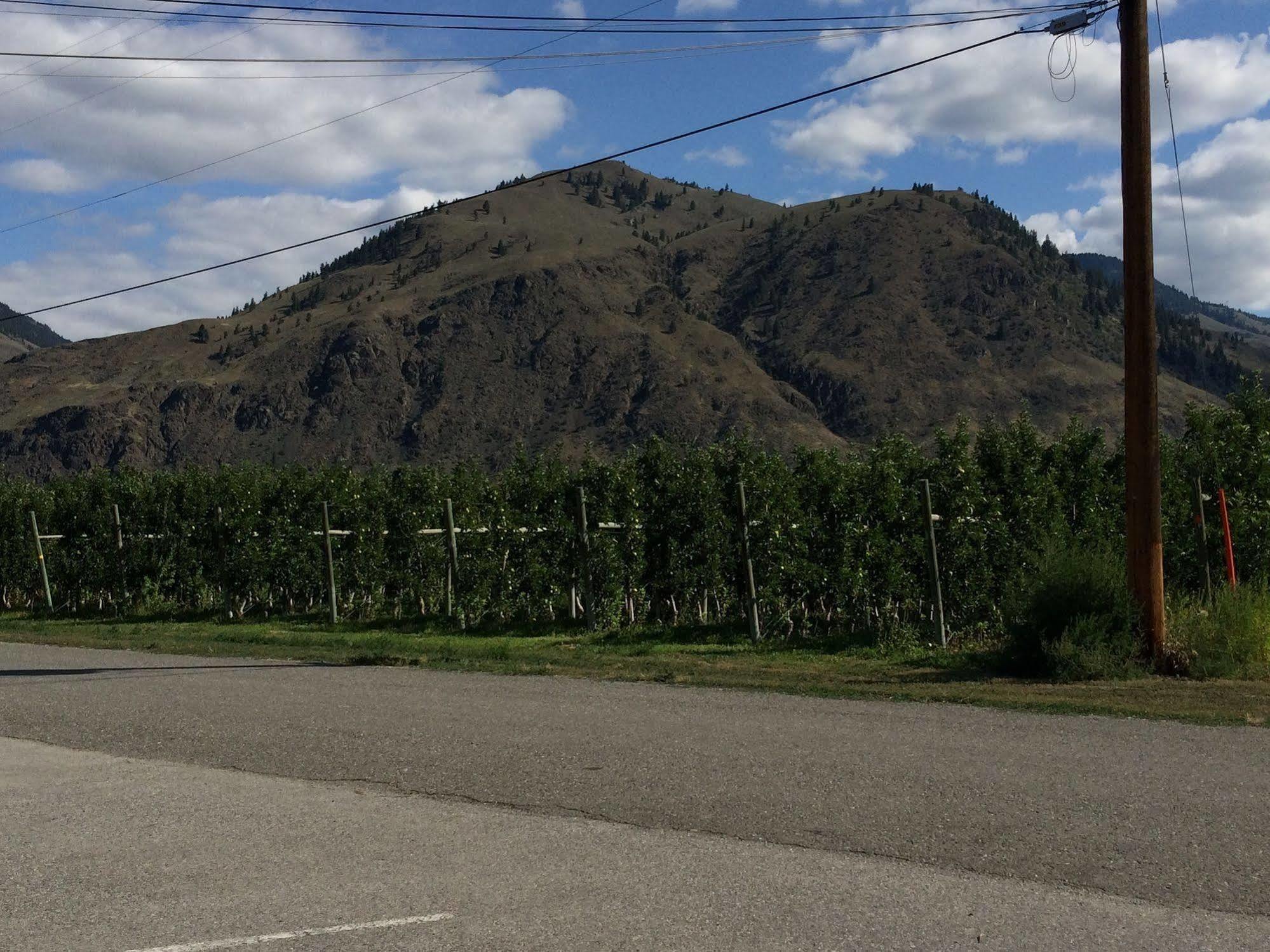 Keremeos Crowsnest Vineyards Guesthouse מראה חיצוני תמונה