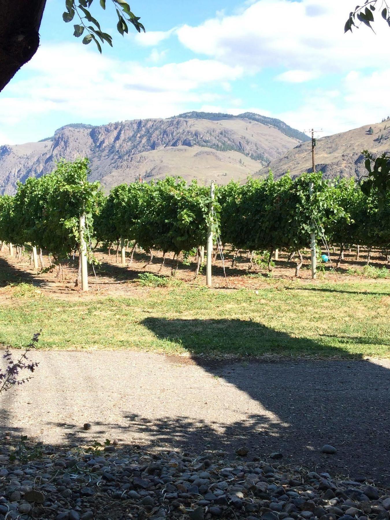Keremeos Crowsnest Vineyards Guesthouse מראה חיצוני תמונה
